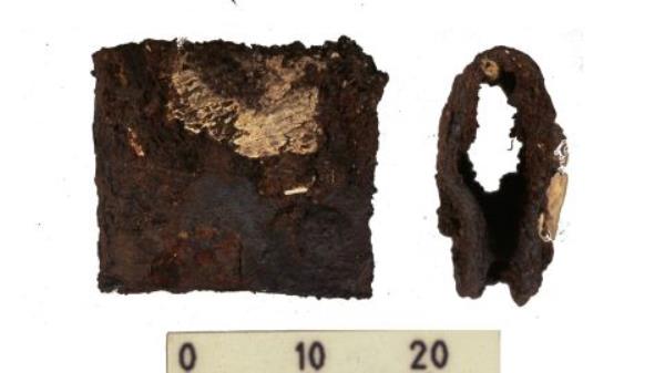 This clasp from a Viking warrior's shield was located in the same grave as the human and animal remains.