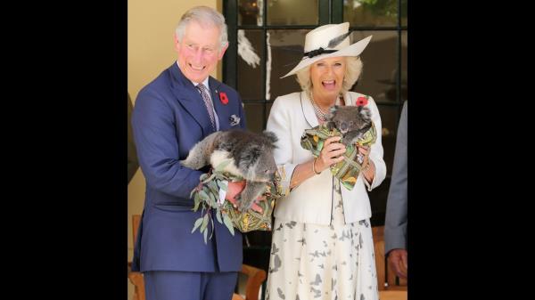 Camilla attends the Sandringham Flower Show in July 2017.