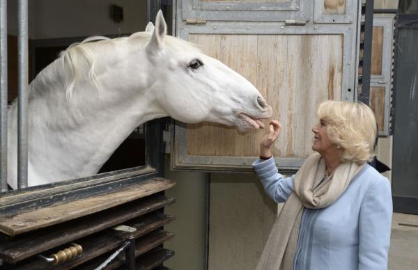 Camilla spends time with horses during a visit to a riding school in Vienna, Austria, in April 2017. It was part of a nine-day tour of Europe.