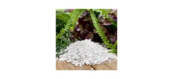 best Horticulture Grade Coarse Perlite