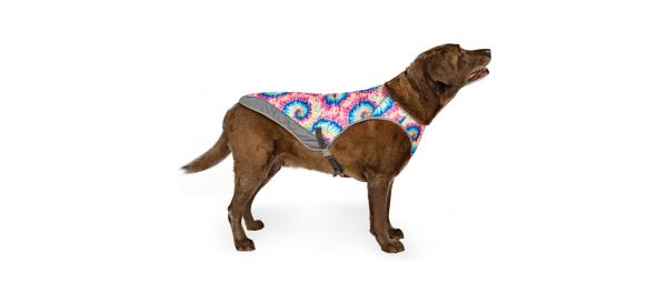 best Canada Pooch Cooling Dog Vest