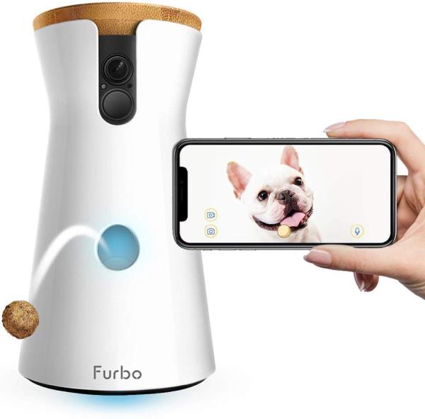 Dog camera and phone with dog image